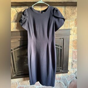 Elegant Navy Puff Sleeve Dress